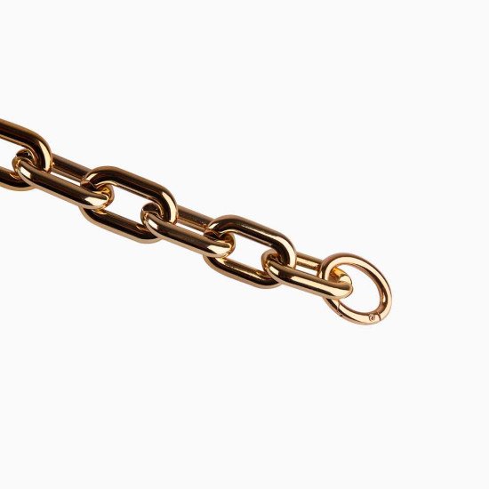 Acrylic Light Gold Chain Handbag Handle and Charm 