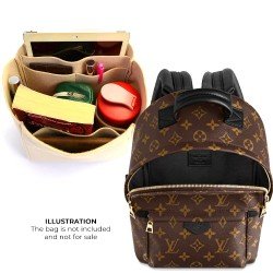louis vuitton palm springs mini organizer