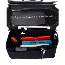 Bag and Purse Organizer with Singular Style for Celine Micro Luggage Bag and Purse Organizer with Singular Style for Celine Micro Luggage