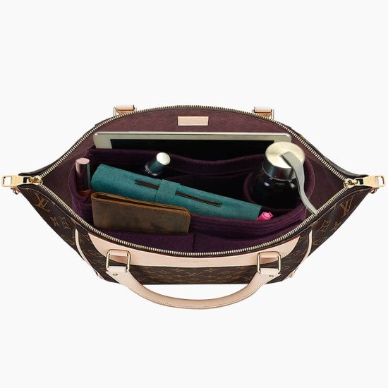 Bag and Purse Organizer with Singular Style for Louis Vuitton Estrela Bag and Purse Organizer with Singular Style for Louis Vuitton Estrela