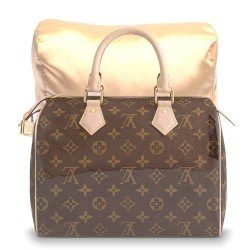 Satin Pillow Luxury Bag Shaper For Louis Vuitton Speedy 25/30/35/40 (Champagne) - More colors available